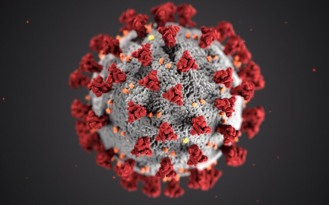 FGU Vestegnen følger ministeriets anbefalinger til at bremse smitte med coronavirus