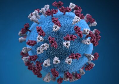 Nye coronarestriktioner: Alle elever og lærere i FGU Vestegnen planlægger at blive testet