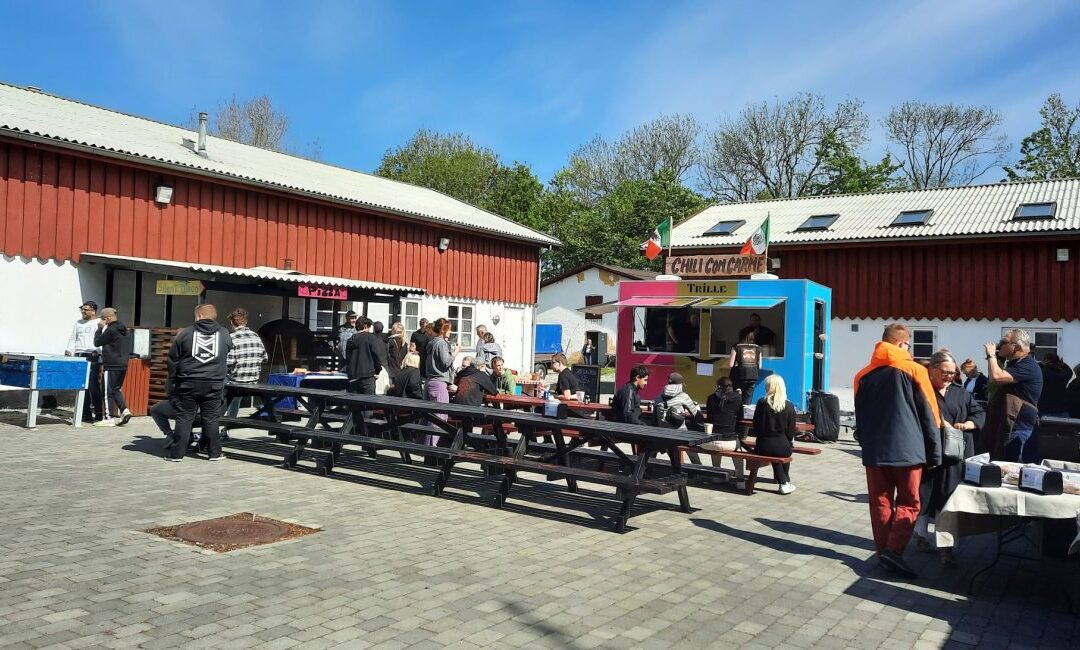 Festival for unge med særlige behov i Ishøj