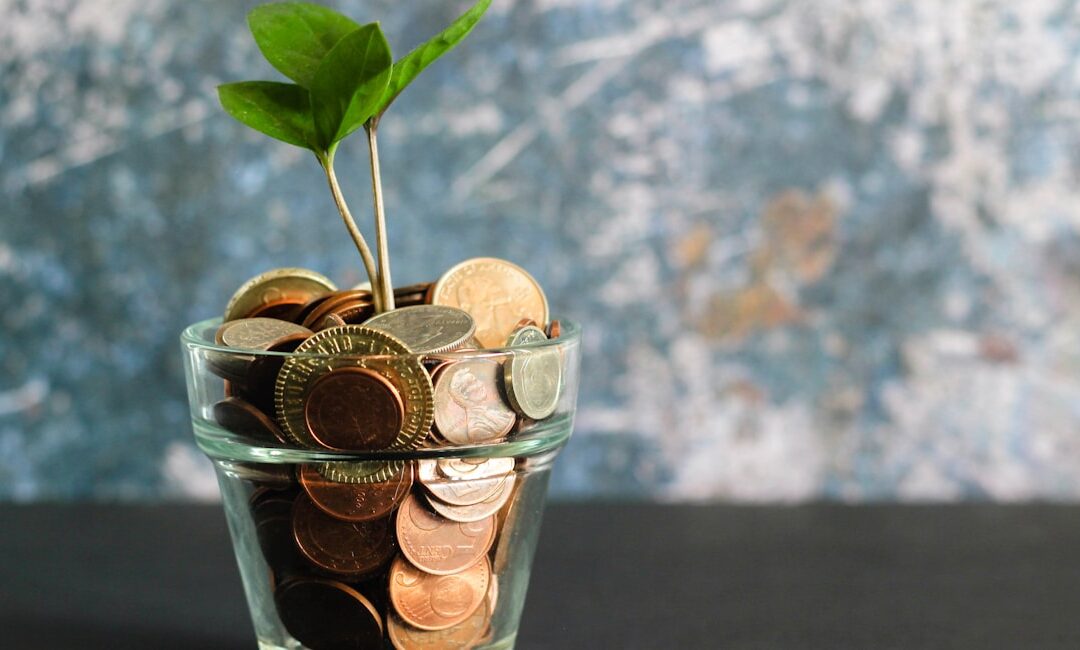 FGU Vestegnen og FGU Nord får 6 millioner af EU’s Socialfond Plus og Region Hovedstaden til 3-årigt trivselsprojekt for elever